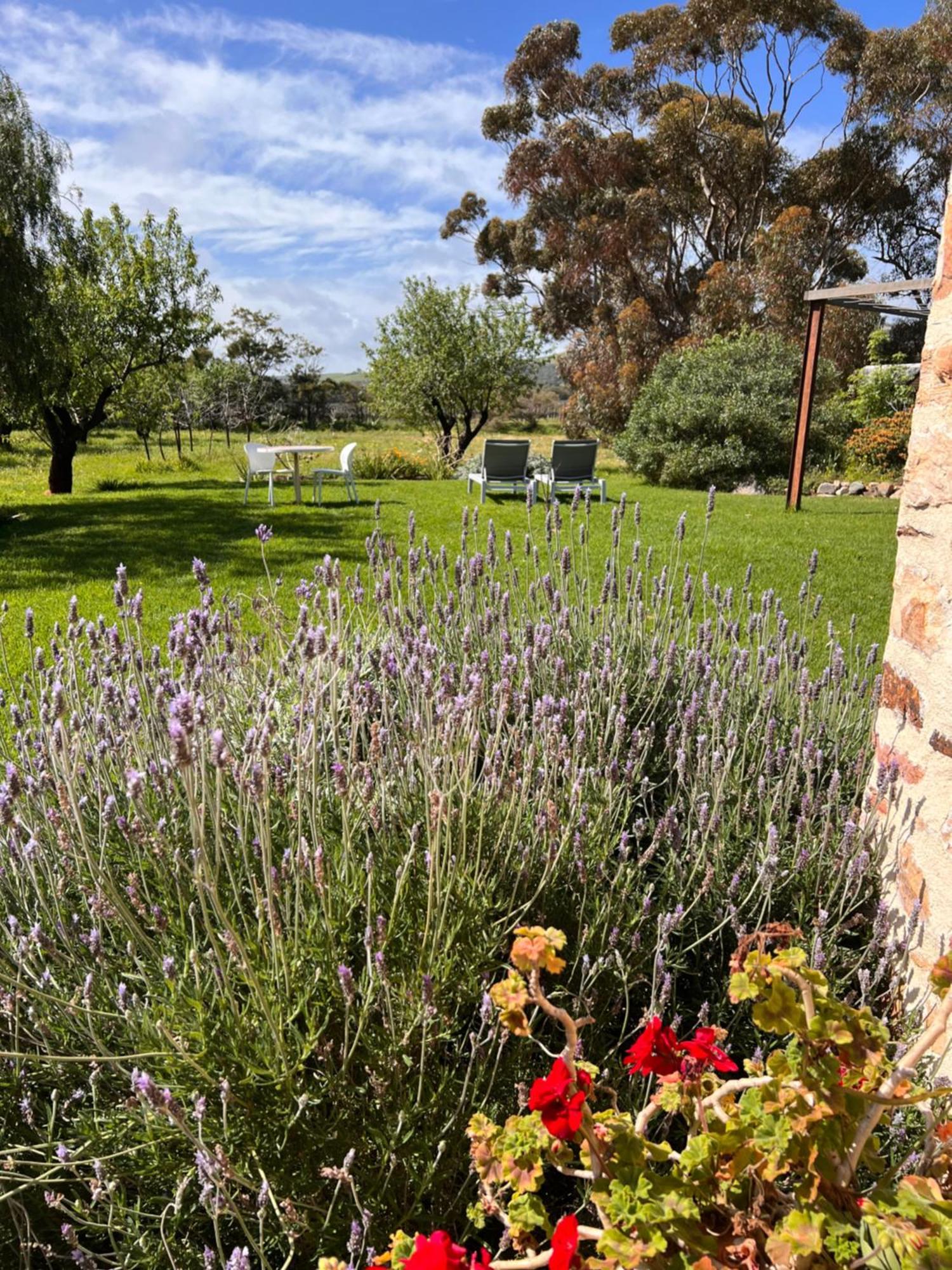 Bed and Breakfast The Old Chaff Mill Organic Vineyard Retreat Sellicks Hill Esterno foto